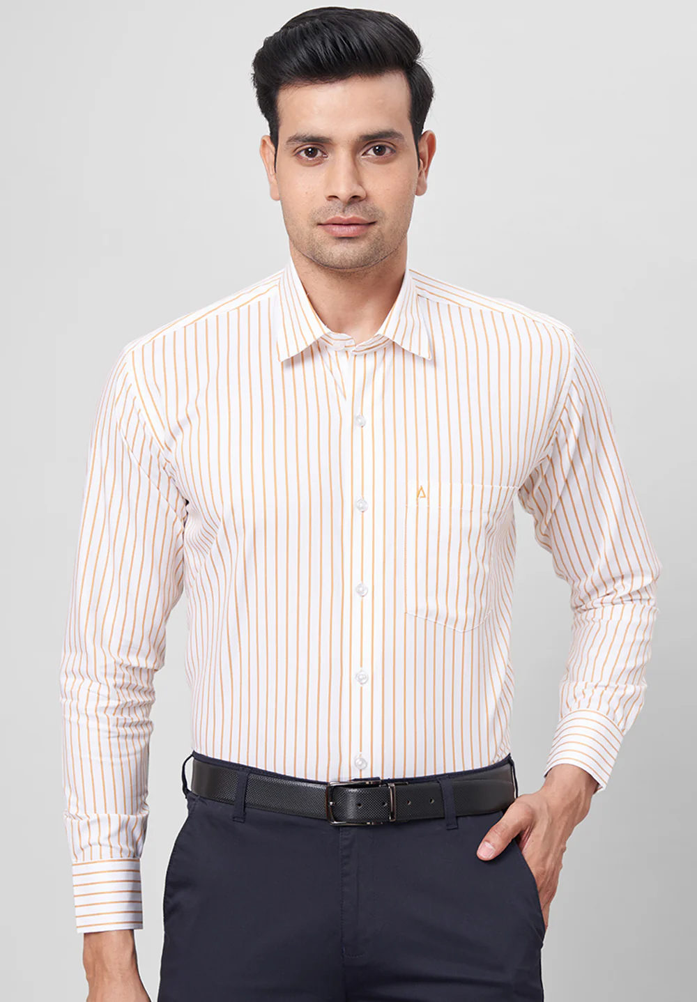 Men Brown Regular Fit Formal Shirt